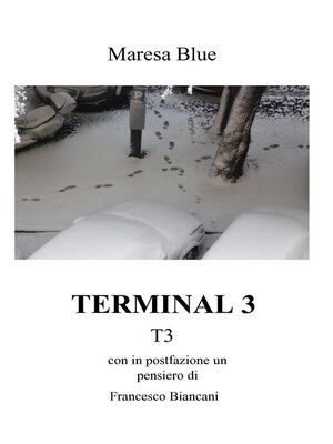 cover image of TERMINAL 3